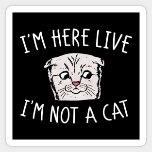 I'm Not A Cat Sticker